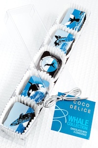 whale chocolates