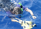 Scuba