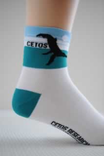 Blue sock